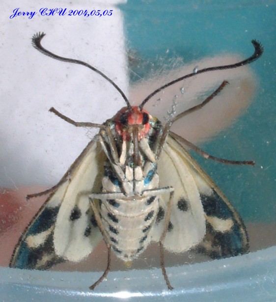 按此在新視窗瀏覽圖片