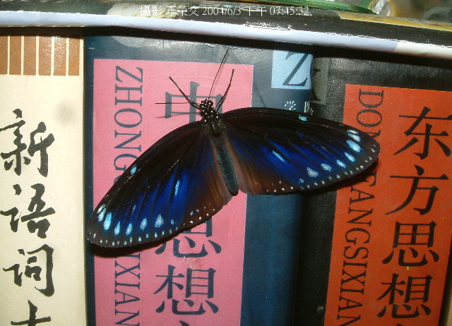 按此在新視窗瀏覽圖片