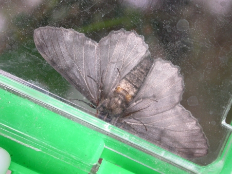 按此在新視窗瀏覽圖片