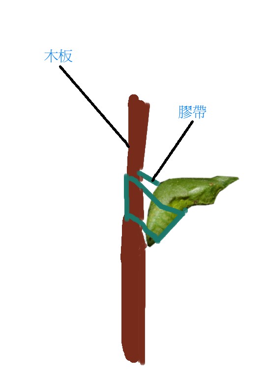 按此在新視窗瀏覽圖片
