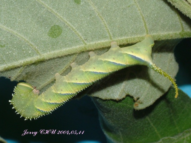 按此在新視窗瀏覽圖片