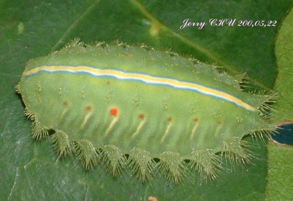 按此在新視窗瀏覽圖片