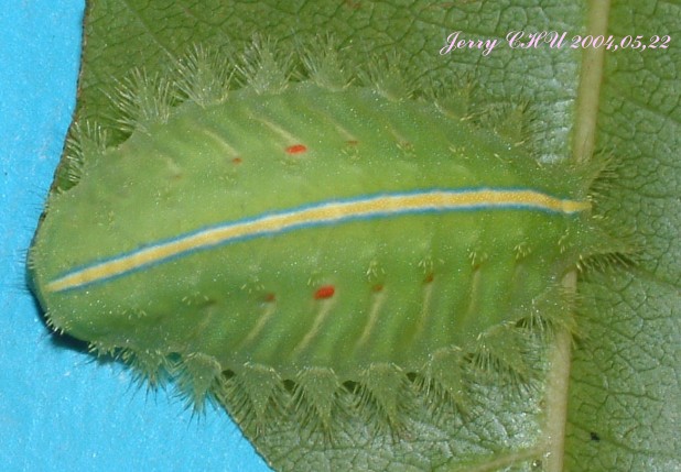 按此在新視窗瀏覽圖片