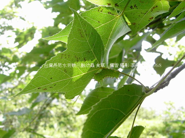 按此在新視窗瀏覽圖片