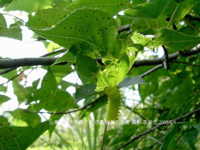 按此在新視窗瀏覽圖片