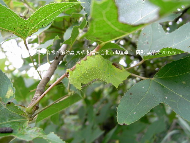 按此在新視窗瀏覽圖片