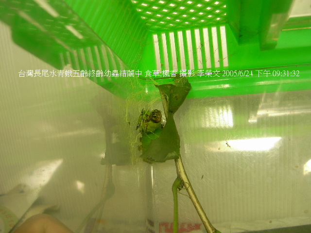 按此在新視窗瀏覽圖片