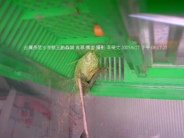 按此在新視窗瀏覽圖片