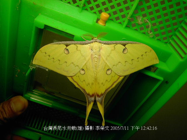 按此在新視窗瀏覽圖片