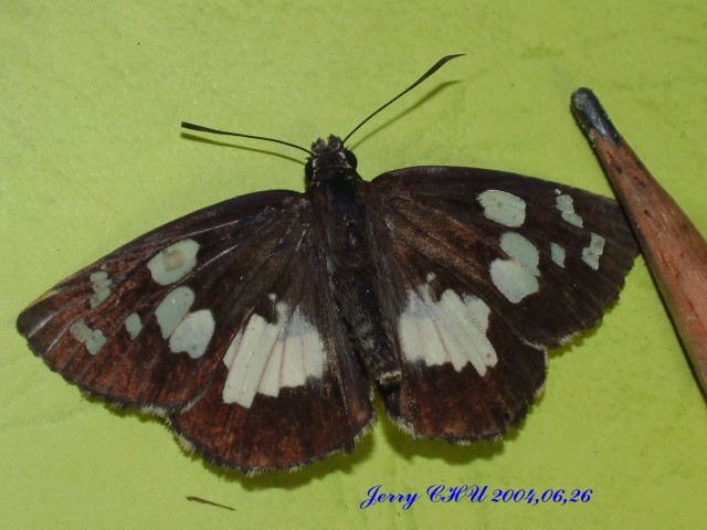 按此在新視窗瀏覽圖片