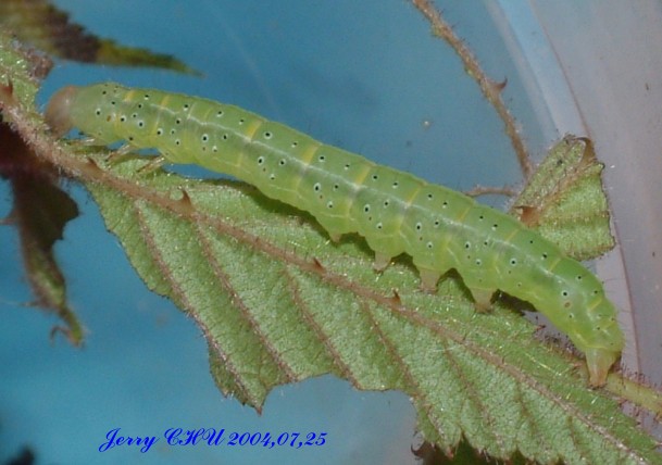 按此在新視窗瀏覽圖片