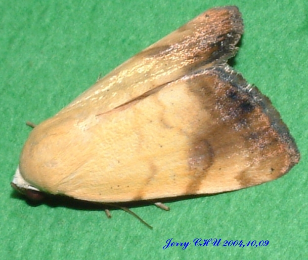 按此在新視窗瀏覽圖片