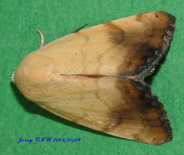 按此在新視窗瀏覽圖片