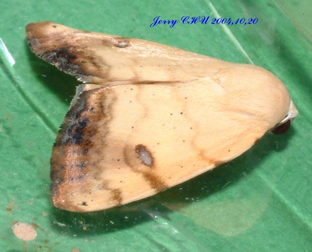 按此在新視窗瀏覽圖片