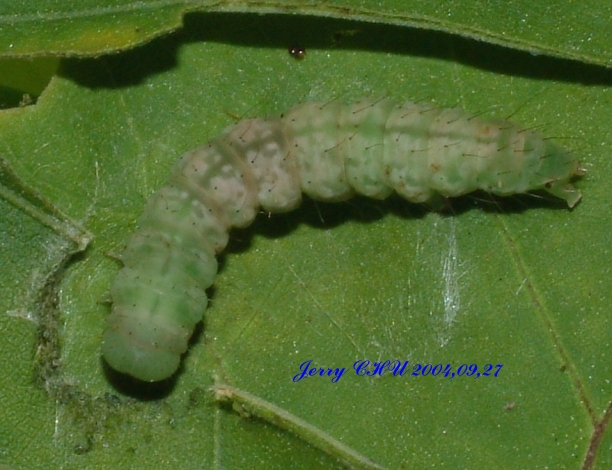 按此在新視窗瀏覽圖片