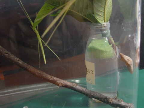 按此在新視窗瀏覽圖片