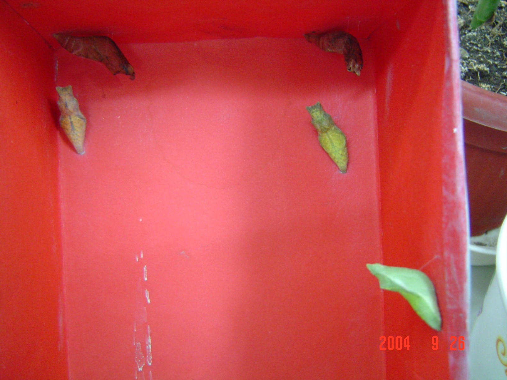 按此在新視窗瀏覽圖片