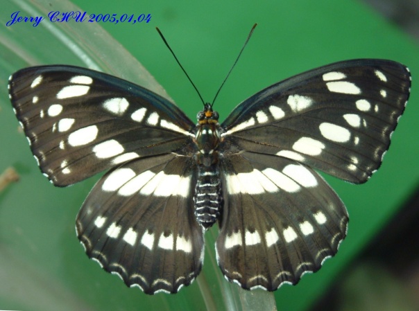 按此在新視窗瀏覽圖片