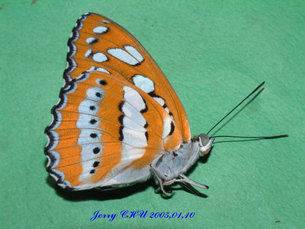 按此在新視窗瀏覽圖片