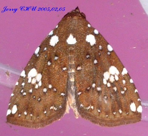 按此在新視窗瀏覽圖片