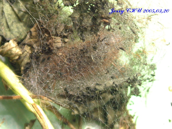 按此在新視窗瀏覽圖片