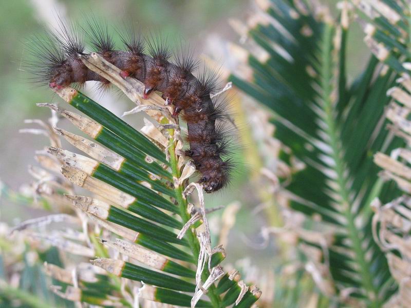 按此在新視窗瀏覽圖片
