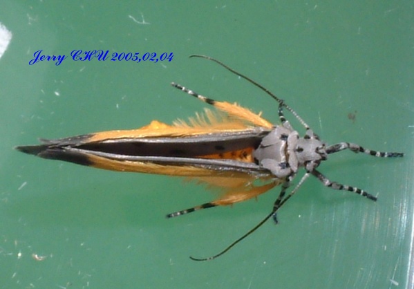 按此在新視窗瀏覽圖片