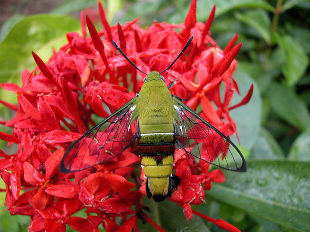 按此在新視窗瀏覽圖片