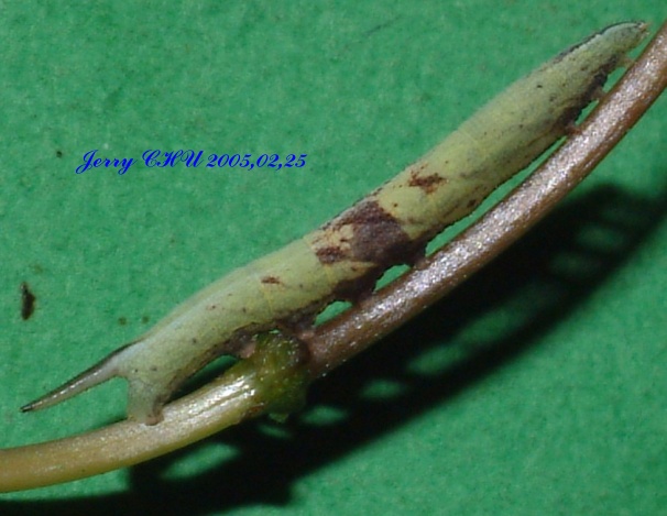 按此在新視窗瀏覽圖片