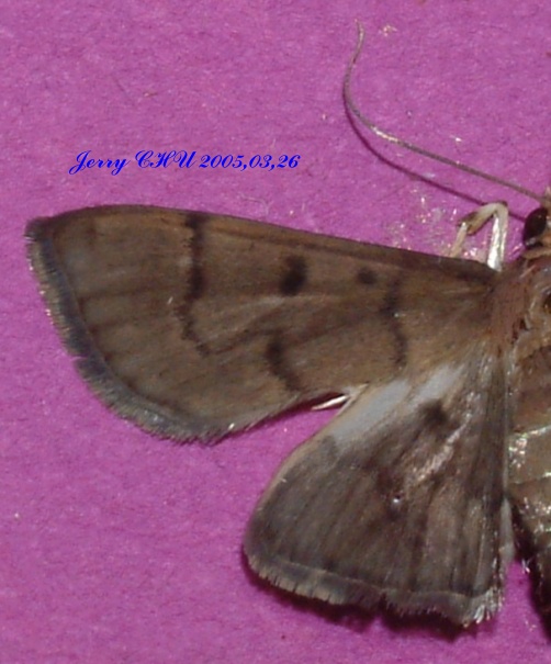 按此在新視窗瀏覽圖片