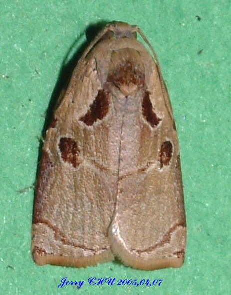 按此在新視窗瀏覽圖片