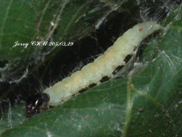 按此在新視窗瀏覽圖片