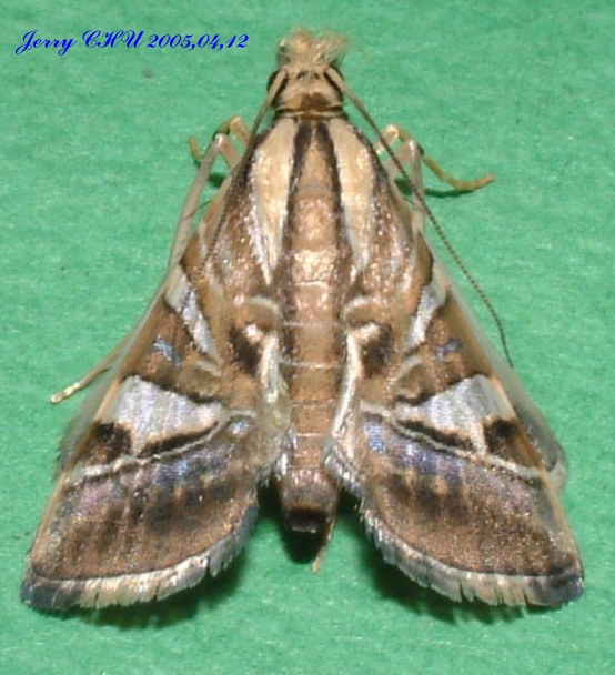 按此在新視窗瀏覽圖片