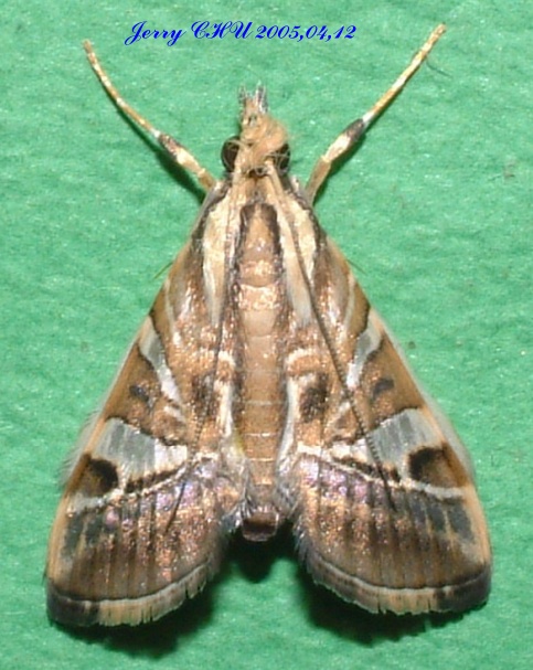 按此在新視窗瀏覽圖片