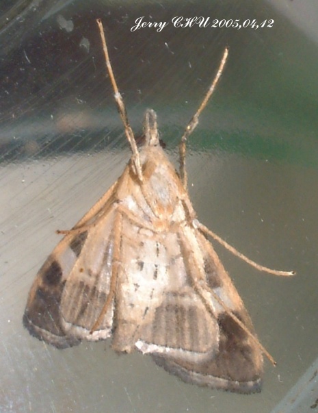 按此在新視窗瀏覽圖片