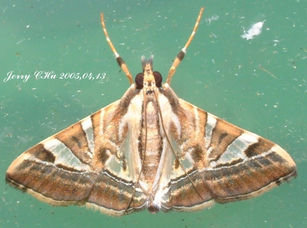 按此在新視窗瀏覽圖片