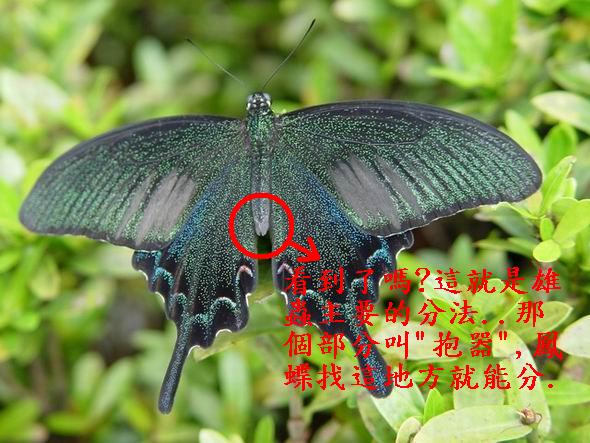 按此在新視窗瀏覽圖片