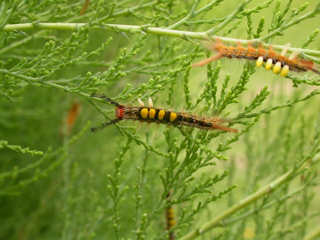 «ö¦¹¦b·sµøµ¡ÂsÄý¹Ï¤ù