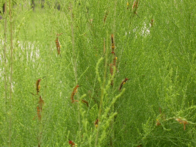 «ö¦¹¦b·sµøµ¡ÂsÄý¹Ï¤ù