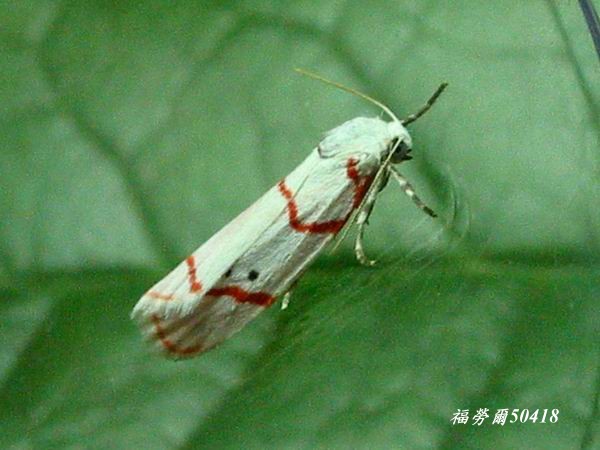 按此在新視窗瀏覽圖片