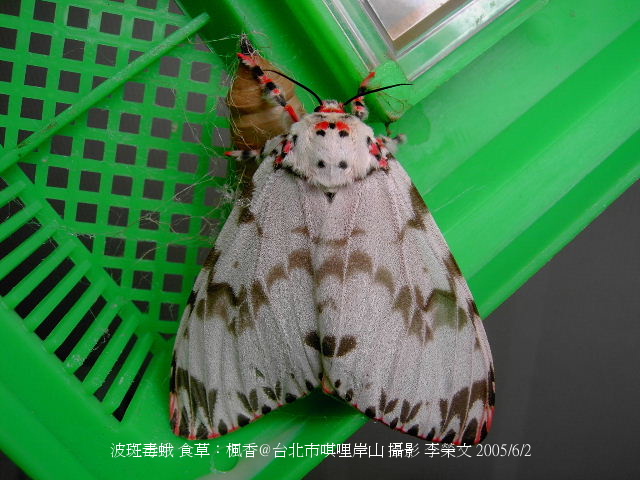 按此在新視窗瀏覽圖片