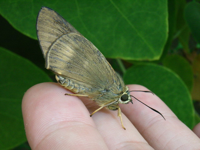 按此在新視窗瀏覽圖片