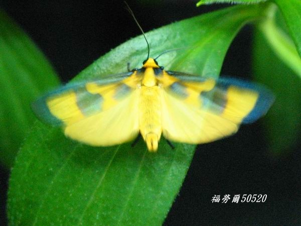 按此在新視窗瀏覽圖片