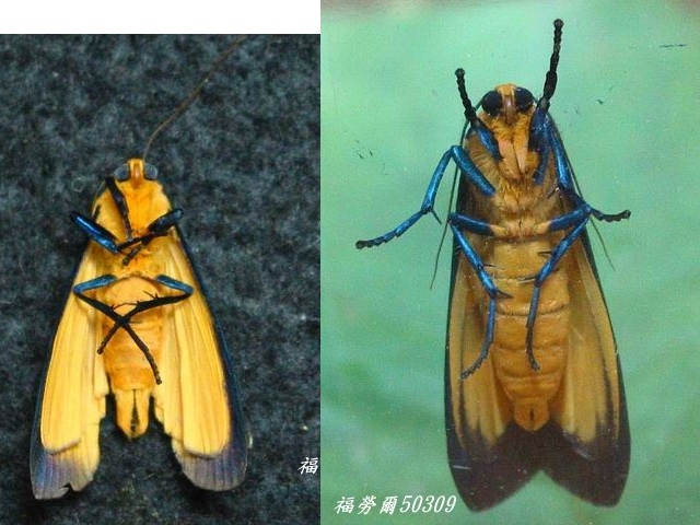 按此在新視窗瀏覽圖片