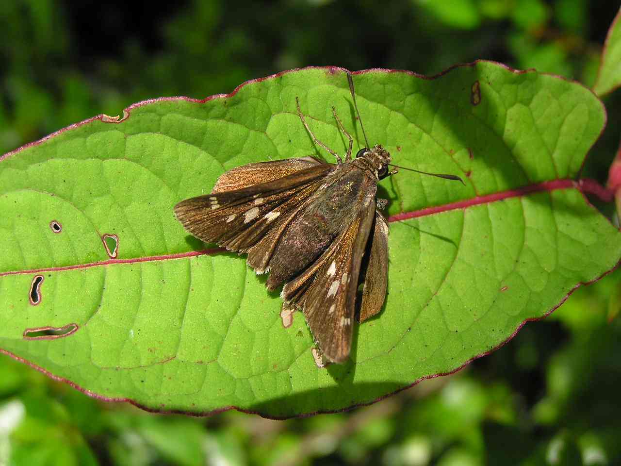 按此在新視窗瀏覽圖片