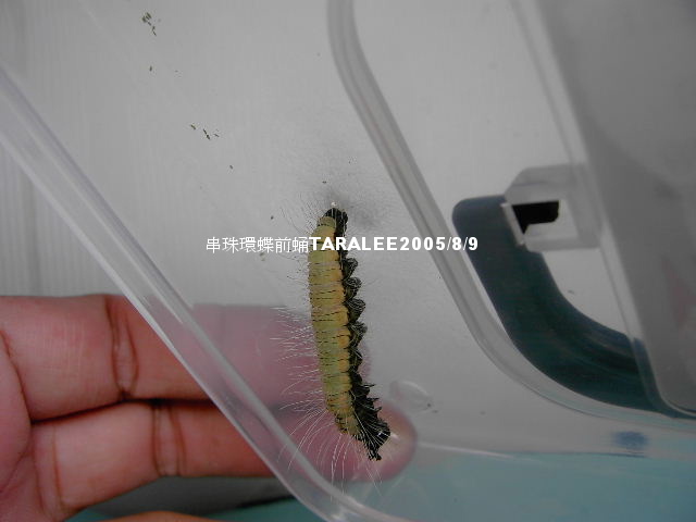 按此在新視窗瀏覽圖片