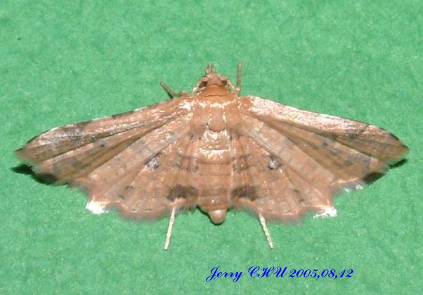 按此在新視窗瀏覽圖片