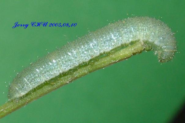 按此在新視窗瀏覽圖片