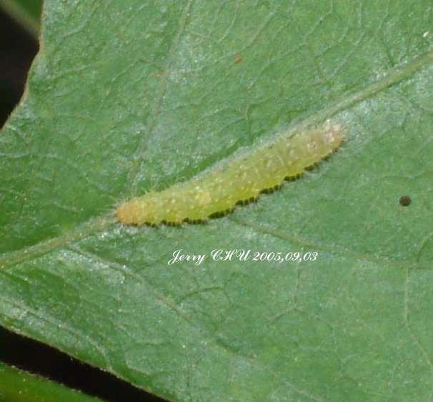 按此在新視窗瀏覽圖片