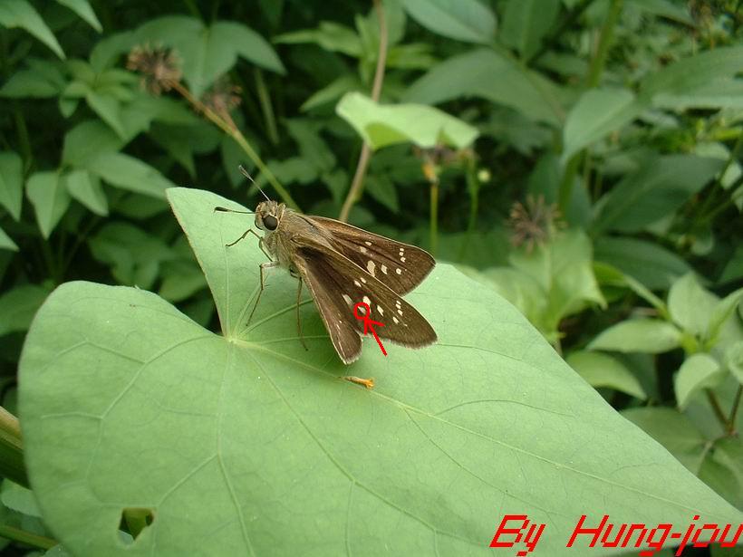 按此在新視窗瀏覽圖片